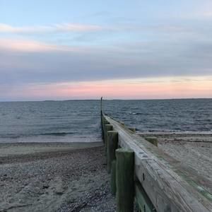 Meet your Posher, Vin